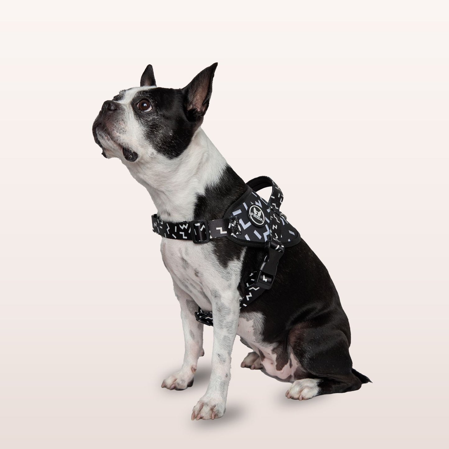 Pechera Flofy Serenity Black