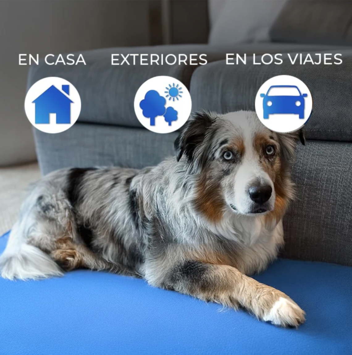 33% Off - Colchoneta Termica para Mascotas