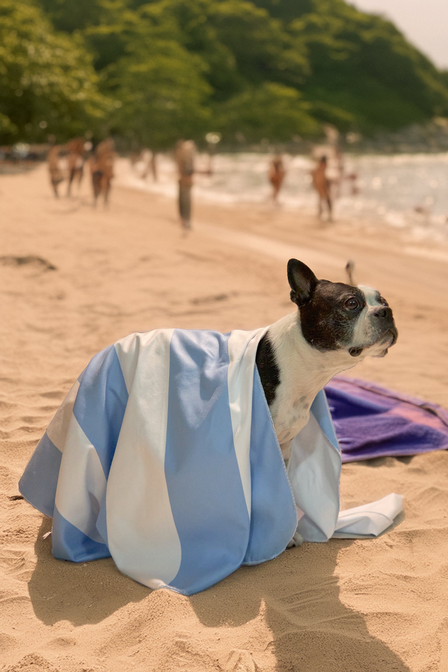 Toalla Estampada de microfibra Serenity Blue