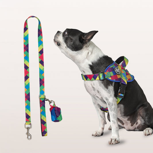 37% Off -  Pechera Flofy  Incluye Correa + Portabolsas + Envio Gratis -- Selecciona Diseño