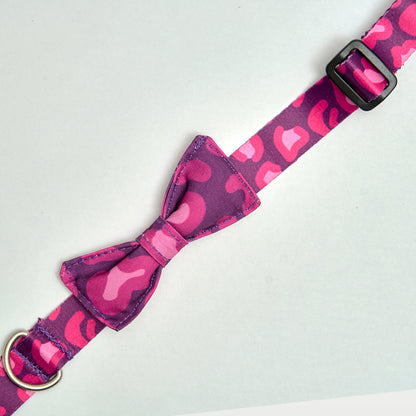 Collar Animal Purple