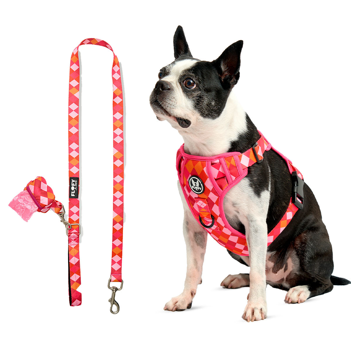 41% Off - Pechera Evo 2.0  Incluye Correa + Portabolsas + Envio Gratis -- Selecciona Diseño