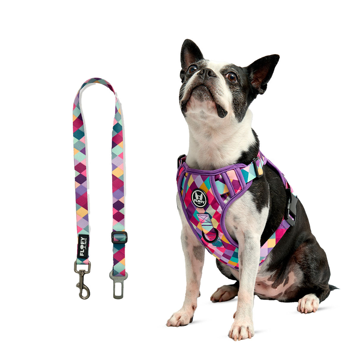 Pechera Evo 2.0  - Rombos Morados