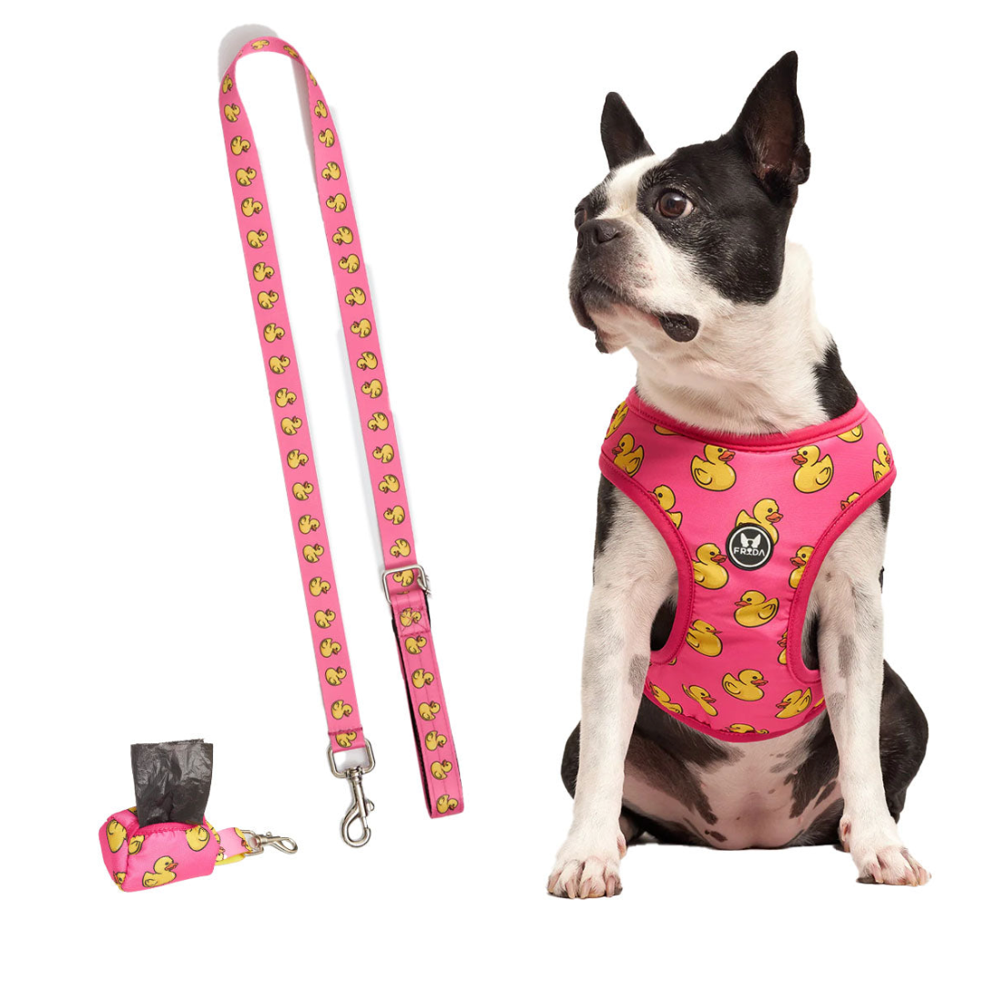 50% Off - LIQUIDACION!  - Pechera y Correa - Envio Gratis