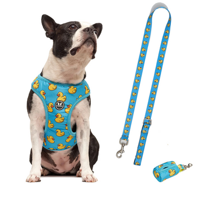 50% Off - LIQUIDACION!  - Pechera y Correa - Envio Gratis