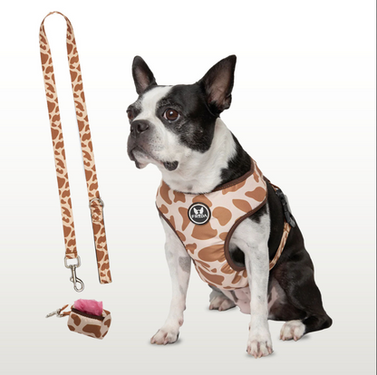 50% Off - LIQUIDACION!  - Pechera y Correa - Envio Gratis