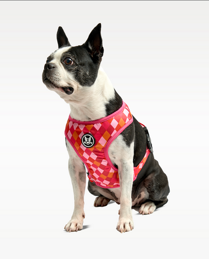 Pechera Rombos Fucsias