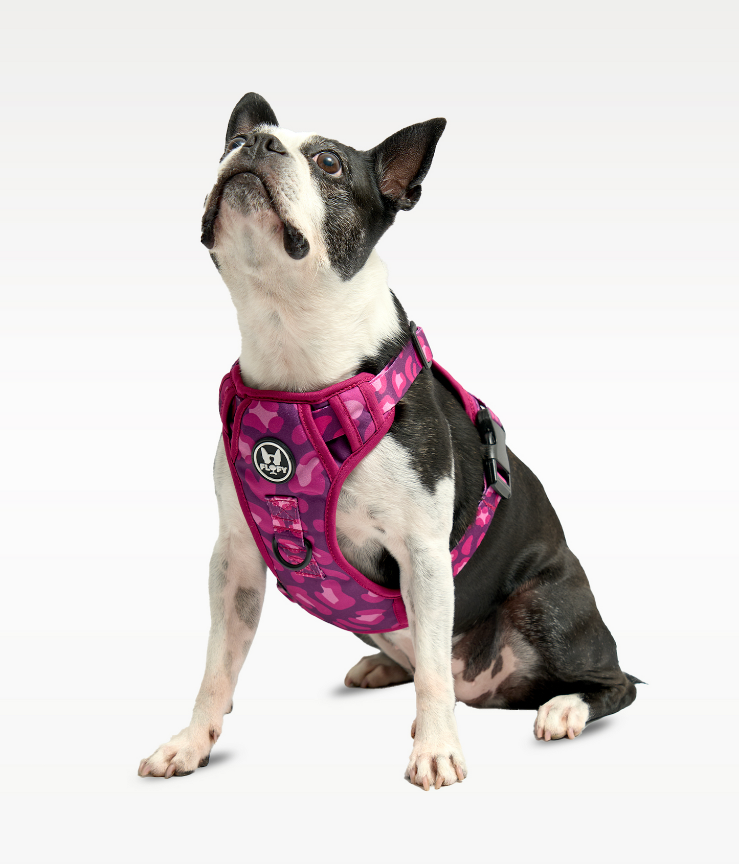 Pechera Evo 2.0 - Animal Purple