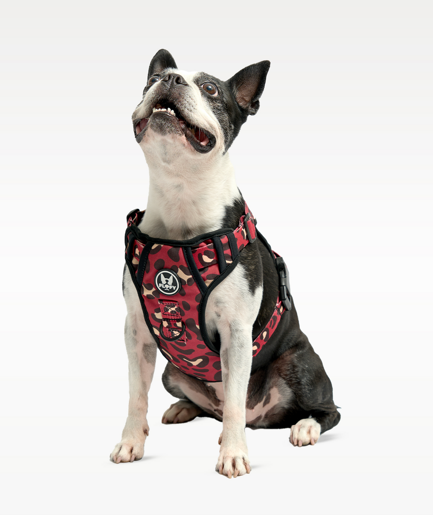 Pechera Evo 2.0  -  Animal Wine