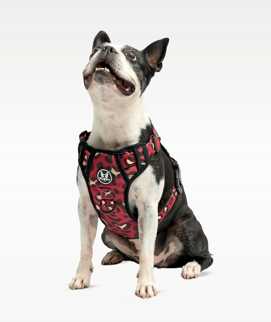 Pechera Evo 2.0  -  Animal Wine