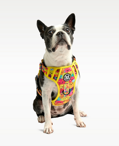 Pechera Evo 2.0  - Monstruos