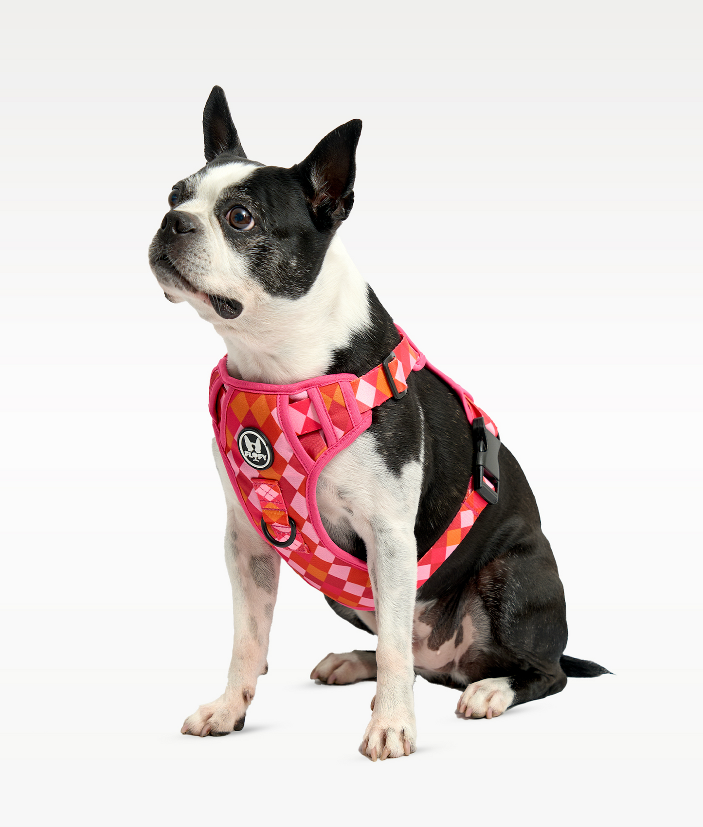 Pechera Evo 2.0 - Rombos Fucsia