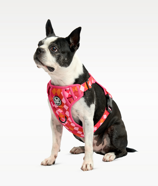 Pechera Evo 2.0 - Rombos Fucsia