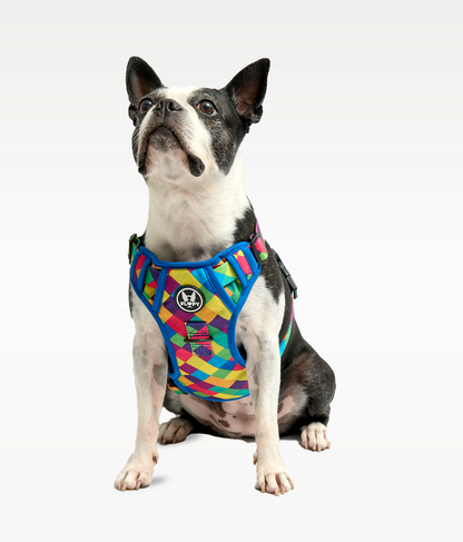 Pechera Evo 2.0 - Rombos Azules