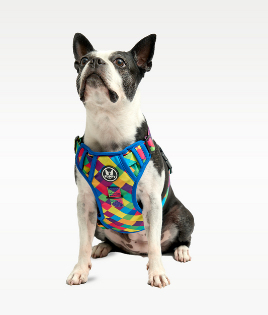 Pechera Evo 2.0 - Rombos Azules