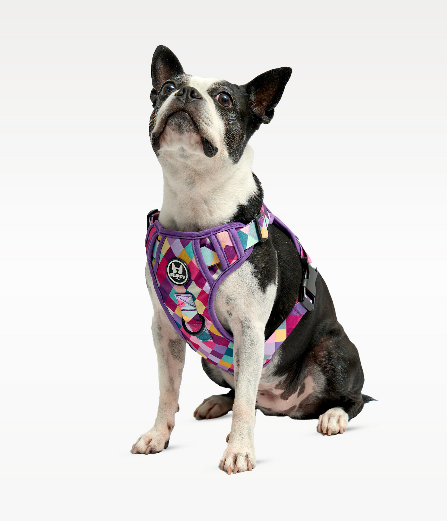 Pechera Evo 2.0  - Rombos Morados