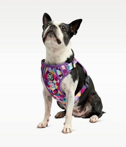 Pechera Evo 2.0  - Rombos Morados