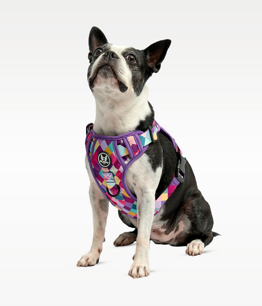 Pechera Evo 2.0  - Rombos Morados