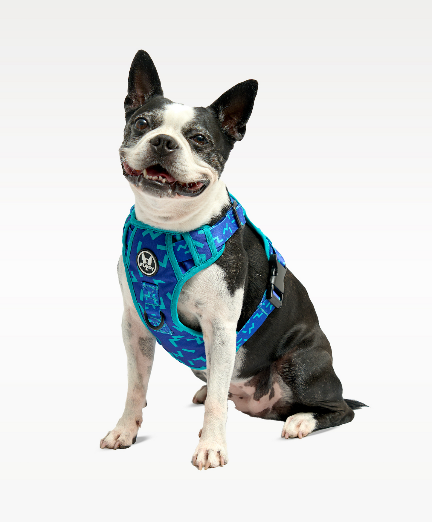 Pechera Evo 2.0 - Serenity Navy