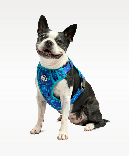 Pechera Evo 2.0 - Serenity Navy