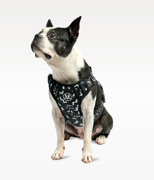 Pechera Evo 2.0 - Serenity Black