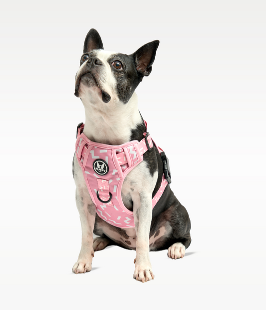 Pechera Evo 2.0 - Serenity Pink