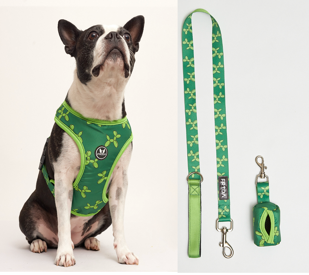 50% Off - LIQUIDACION!  - Pechera y Correa - Envio Gratis