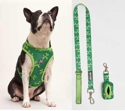 50% Off - LIQUIDACION!  - Pechera y Correa - Envio Gratis