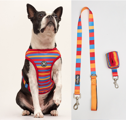 50% Off - LIQUIDACION!  - Pechera y Correa - Envio Gratis