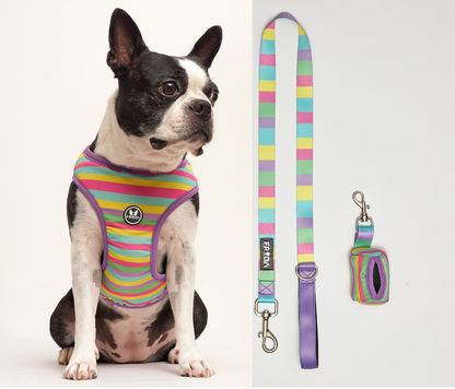 50% Off - LIQUIDACION!  - Pechera y Correa - Envio Gratis