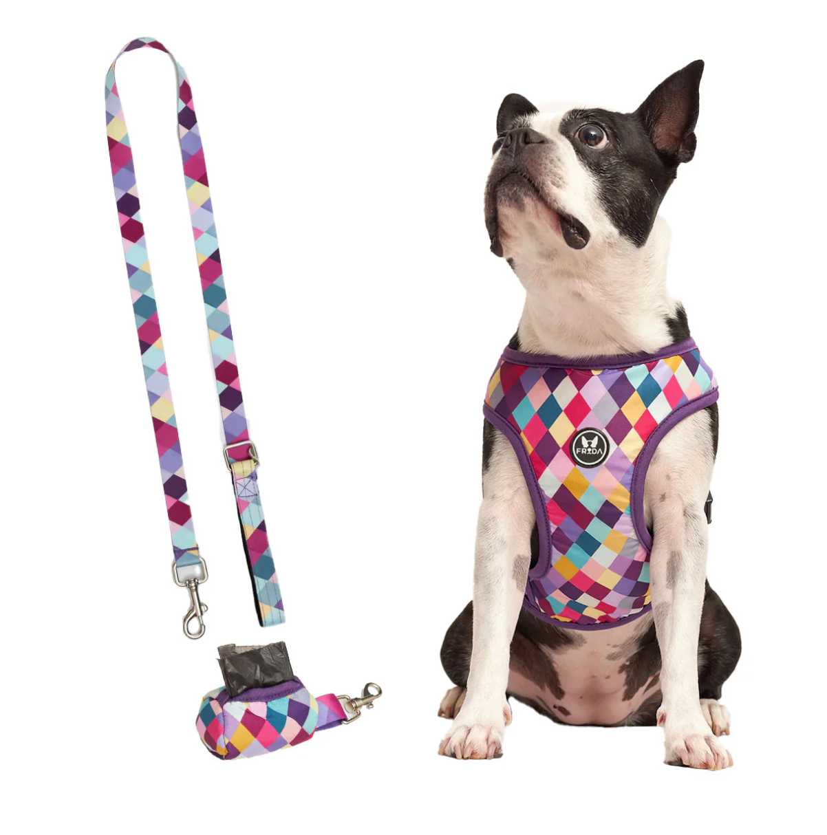 39% Off - Pechera Tradicional Incluye Correa + Portabolsas + Envio Gratis -- Selecciona Diseño