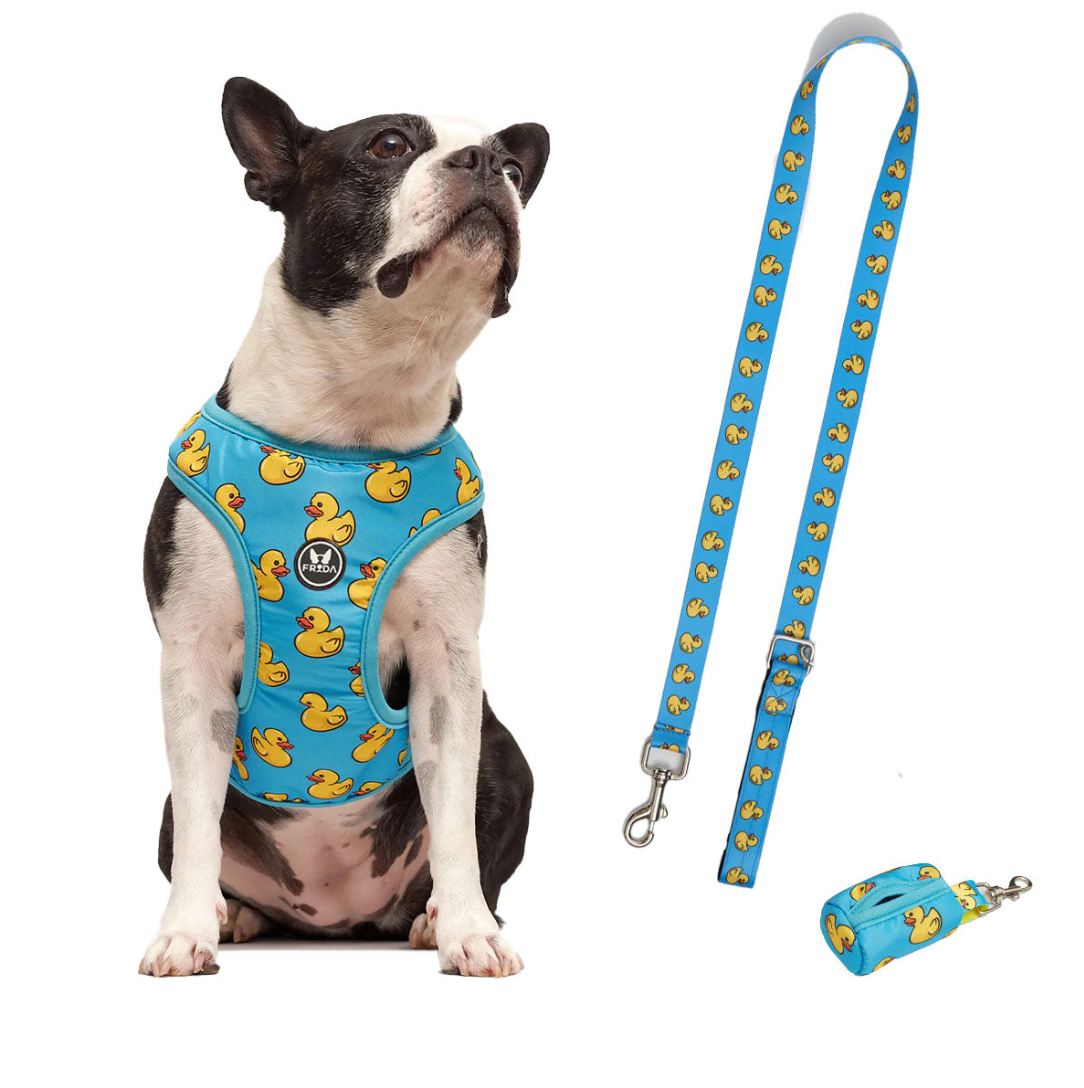 50% Off - LIQUIDACION!  - Pechera y Correa - Envio Gratis