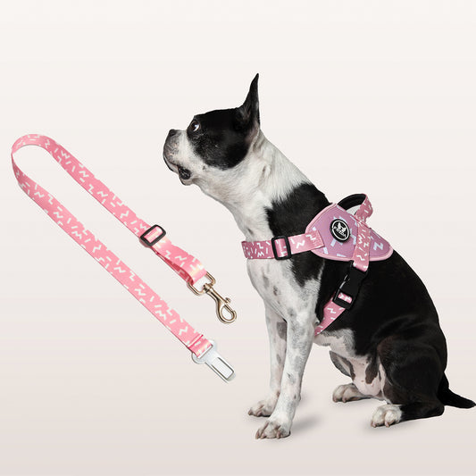 37% Off - Pechera Flofy Incluye  Cinturón para carro + Envio Gratis -- Selecciona Diseño