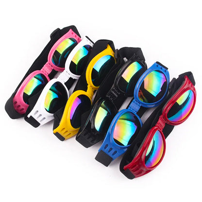 Gafas Plegables para perro