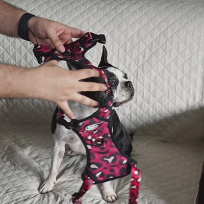 41% - Off Pechera Evo 2.0  Incluye Cinturón para carro + Envio Gratis -- Selecciona Diseño